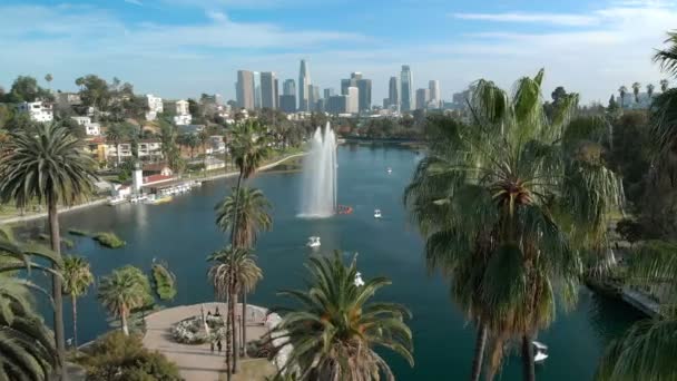 Los Angeles Havacılık Palm Trees Echo Park Lake Forward California — Stok video