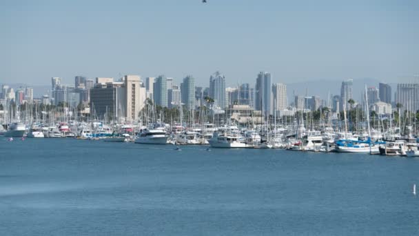 San Diego Tagsüber Skyline Schiffe Hafen Insel Zeitraffer Kalifornien Usa — Stockvideo