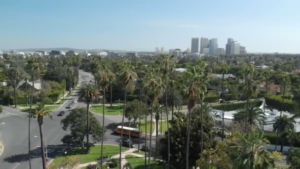 Luftaufnahme Von Beberly Hügeln Und Jahrhundert Stadt Über Palmen Kalifornien — Stockvideo