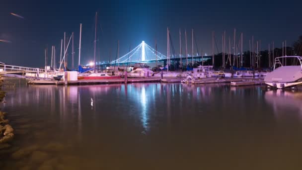 三藩湾大桥 宝岛港湾时间拉普加州美国 — 图库视频影像
