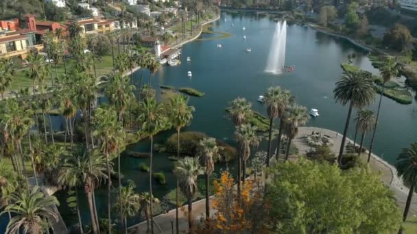 Los Angeles Hava Kuvvetleri Palm Trees Echo Park Lake Forward — Stok video