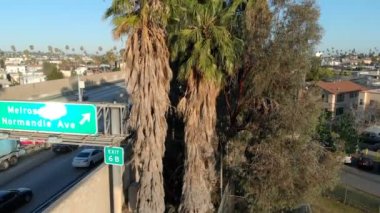 Aerial Shot of Los Angeles and Hollywood Freeway at Melrose Ave Elevate Palm Tree California USA