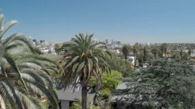 Los Angeles Havacılık Kuruluşu Wilshire Forward California 'da şehir merkezinde vuruldu.