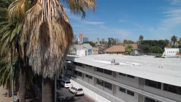 洛杉矶航空从美国加州住宅区高耸棕榈树的天际线上发射的子弹 — 图库视频影像