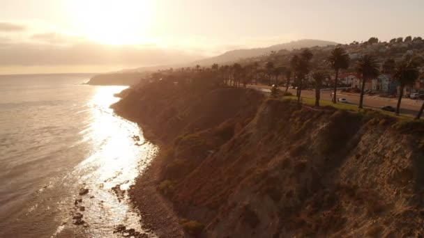 Aerial Sunset Palmetræer Coastal San Pedro Californien Roter Til Højre – Stock-video