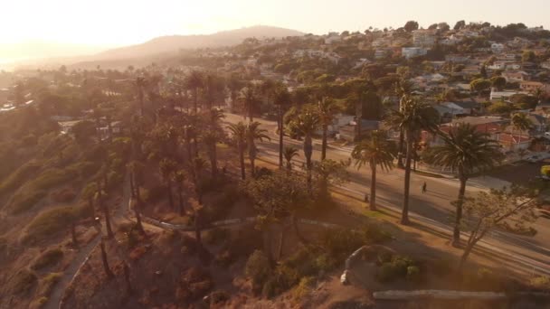 Letecký Západ Slunce Palmy Pobřeží San Pedro Kalifornie Sledování Vlevo — Stock video