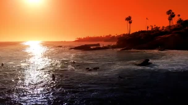 Colpo Aereo Tramonto Oceano Palme Sulla Scogliera California Usa — Video Stock