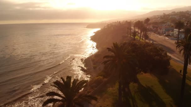 Aerial Sunset Palm Trees Coastal San Pedro California Forward — Vídeo de stock