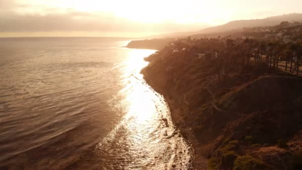加利福尼亚圣佩德罗海岸的空中落日棕榈树 — 图库视频影像