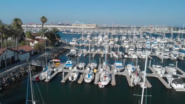 Aerial Cabrillo Marina Port Los Angeles California Usa — Αρχείο Βίντεο