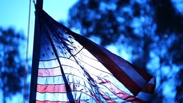 Amerykańska Flaga Niebieska Świecąca Wolny Ruch 120Fps Pętla — Wideo stockowe