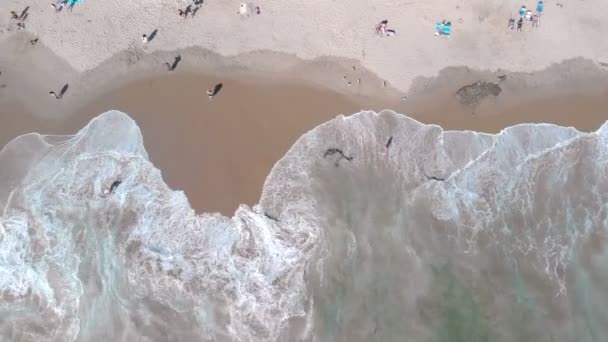 Aerial Top View Laguna Beach California Left — Stock Video