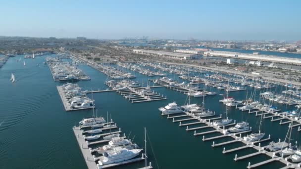Aerial Cabrillo Marina Haven Van Los Angeles Vertrokken Uit Californië — Stockvideo
