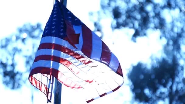 Bandeira Americana Blue Slow Motion 120Fps Loop — Vídeo de Stock