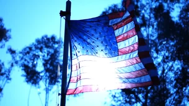 Bandeira Americana Blue Slow Motion 120Fps Loop — Vídeo de Stock