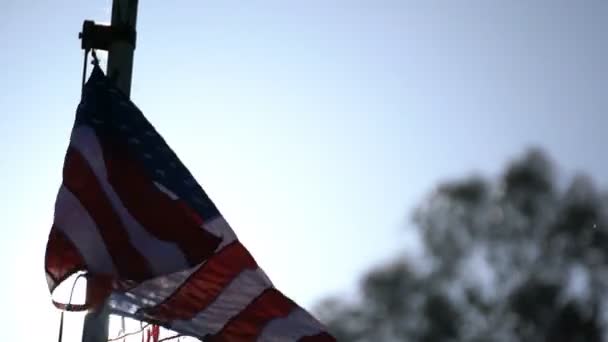 Loop Bandeira Americana Durante Dia — Vídeo de Stock