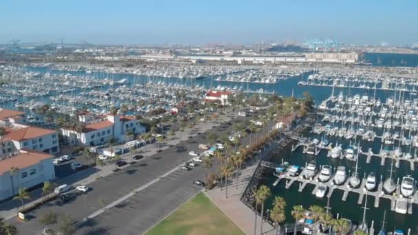 Aerial Cabrillo Marina Port Los Angeles Forward Tilt California — стокове відео