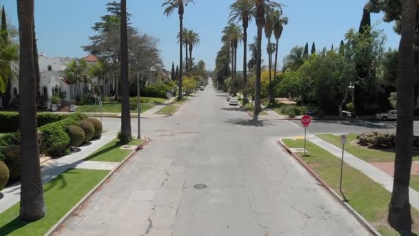 Аэросъемка Улицы Пальмами Лос Анджелесе — стоковое видео