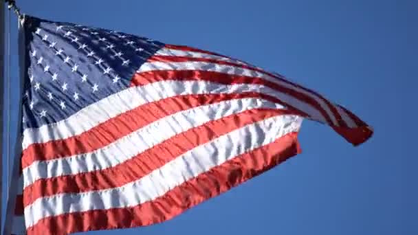 American Flag Loop Daytime – Stock-video