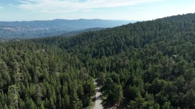 Los Padres Ormanı 'ndaki Pinos Dağı İleri Çekim California ABD' de