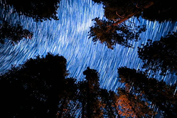 Sequoia National Park Star Trails of Milky Way Galaxy Looking Up Forest Red Astrophotography in California USA
