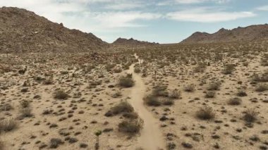 Çöldeki Kanyon Yolu 'nun Joshua Tree Hava Çekimi Kaliforniya ABD Ulusal Parkı' nın dışında çekildi