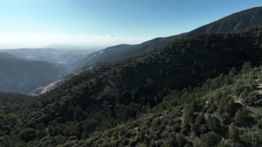 Güney Kaliforniya Los Padres Ormanı Havadan Vurulan Pan ABD 'den ayrıldı