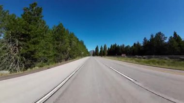 Shasta 5 Kuzey Weed 'den Shasta 05' e Arka Görüş Sürüş Plakası.