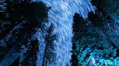 Sequoia Ulusal Parkı Kutup Yıldızı 'nın Kuzey Yıldızı' nın Kaliforniya 'daki Kuzey Gökyüzü Astrofotografı Zaman Hatası