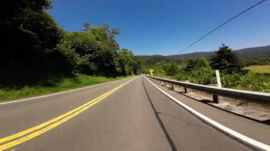 Redwood Highway Northbound 7 Orick 01 Front View in Lady Bird Johnson Grove Driving Plates California