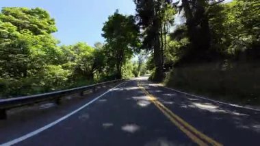 Redwood Highway Northbound 7 Orick 01 Arka Manzara Lady Bird Johnson Grove Sürücü Plakası Kaliforniya