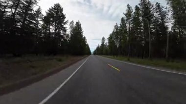 American Northwest Kırsal Orman Yolu 01 Arka Manzara Odessa Sürücü Plakası Oregon ABD