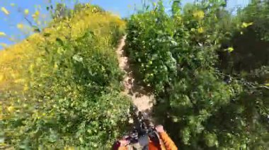California Super Bloom Vahşi Çiçekler Dağ Motoru POV 03.mp4