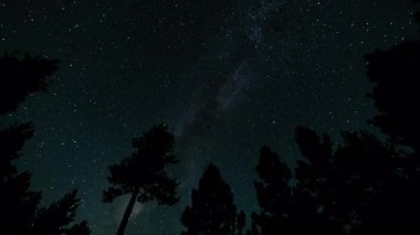 Samanyolu Galaksisi, Güneybatı Gökyüzü 'nde Dağ Ağaçları Üzerinden 15 mm Astrofotoğrafçılık: