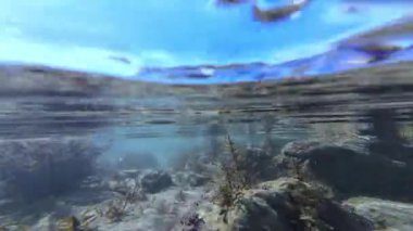 Pasifik Okyanusu Su Altında Yavaş Hareket Sığ Su