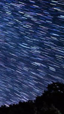 Dikey Çekim Yazı Samanyolu Galaksisi Ağustos ayının Güney Gökyüzü Astrofotoğrafçılığının Üzerinde Uzay Hızı