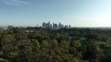 Los Angeles Şehir Merkezi Ormanın Ötesinde Elysian Park Havadan Vuruldu Kaliforniya 'da
