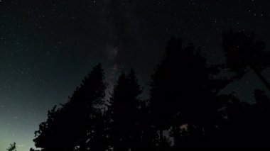 South Sky Over Mountain Ormanı 'ndaki Samanyolu Galaksisi. 15 mm. Eğik Astrofotografi: