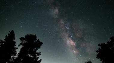 24 mm Orman Üzerindeki Samanyolu Galaksisi Kaliforniya 'da Zaman aşımına uğramış ABD