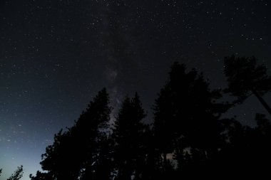 Güney Gökyüzünde Samanyolu Galaksisi Dağ Ormanı Geniş Astrofotografı Kaliforniya ABD
