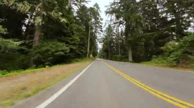 Kuzey Kaliforniya Sahili Hilal Kenti 01 Arka Görünüm 101 Sis Sürücü Plakası ABD