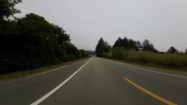 Kuzey Kaliforniya Hilal Kenti 02 Arka Manzara 101 Sis Sürücü Plakası ABD