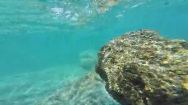 Palos 'taki Su Hareketi Kaliforniya Kıyısı' na Karşı ABD Sualtı Okyanusu