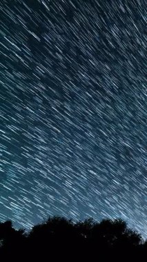 Kaliforniya 'da Los Padres Ormanı' nın yukarısındaki Güneybatı Gökyüzü 'nde 15 mm' lik dikey Yıldız İzleri