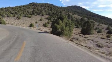 Beyaz Dağ Antik Bristlecone Sahnesi Byway Batı Yakası Ön Manzara 12 Sürücü Plakası Kaliforniya ABD