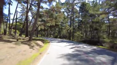 Monterey 17 Mil Yolu 33 Arka Görünüm Multicam Sürücü Plakası Kaliforniya ABD