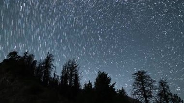 Kutup Yıldızı 'nın etrafında dönen yıldız izleri. Ormanın üzerinde 24 mm Kuzeybatı Gökyüzü Astrofotografı: Gece Gökyüzü Zaman Hızı