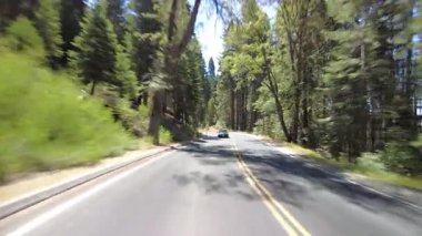 Kings Canyon Manzarası Batı Kısmı 22 Doğu Yakası Çok Kameralı Arka Görüş Büyük Stump Grove Sürücü Plakası Kaliforniya 'daki Sierra Nevada Dağı ABD