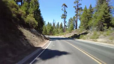 Kings Canyon Manzarası Batı Bölümü 23. Multicam Arka Manzara Büyük Stump Grove Sürücü Plakası Kaliforniya 'daki Sierra Nevada Dağı ABD