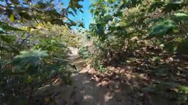 Los Angeles Dağ Bisikleti POV Fotoğrafı Kenneth Hahn Park Trailhead California ABD